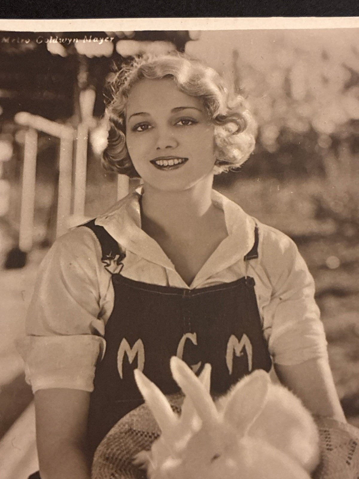 Cartolina Vintage Leila Hyams - Cinema Pre-Code - Edizioni G. B. Falci Milano / MGM (1930)