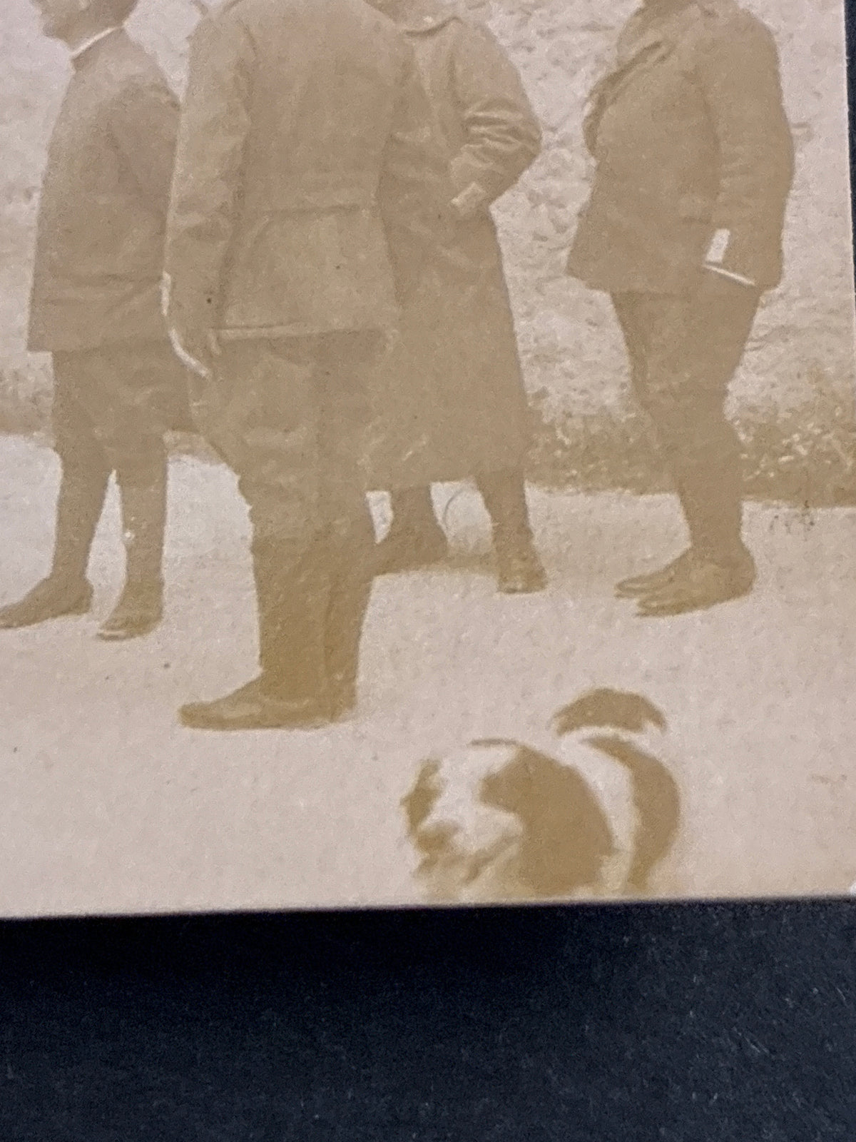 Foto Unica e Inedita WW1 - Sua Maestà il Re Vittorio Emanuele III d'Ispesione al Fronte con il Duca d'Aosta e Cane Mascotte
