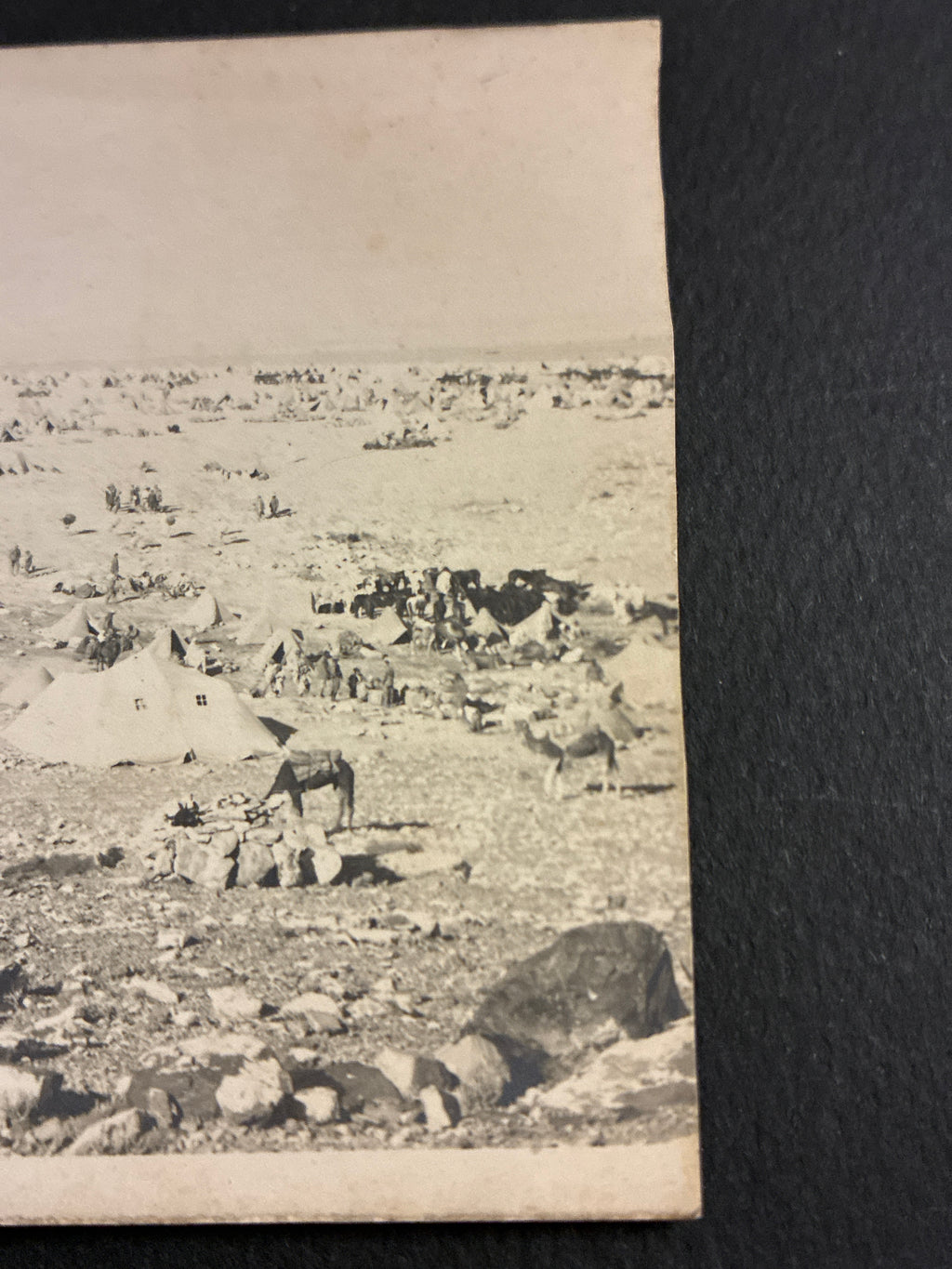 Cartolina Fotografica Militare Epoca Regio Esercito - Accampamento Tende e Quadrupedi in Libia - Rara Non Viaggiata