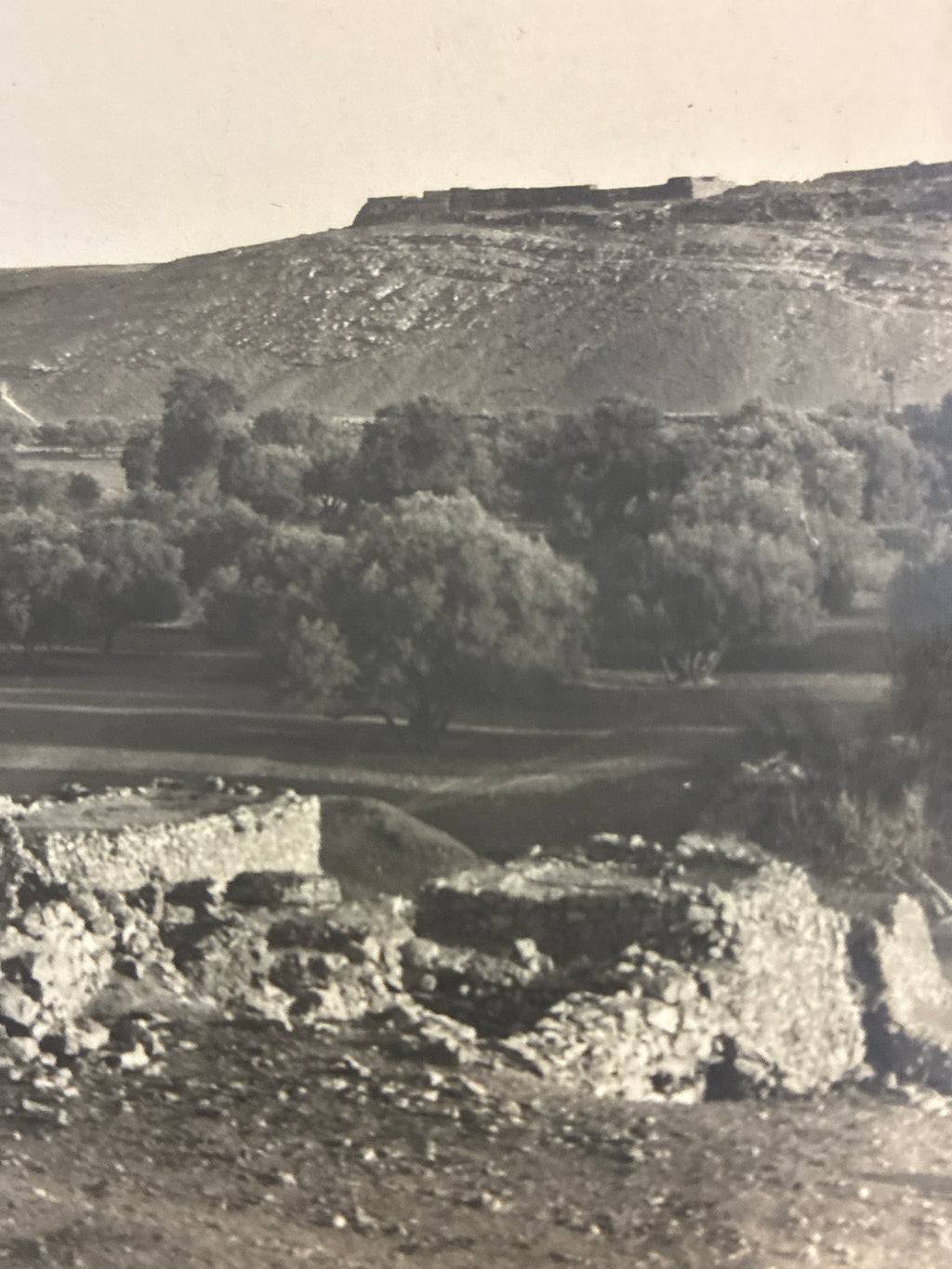 Cartolina postale italiana d'epoca coloniale con veduta panoramica del uadi e delle fortificazioni di Beni Ulid in Libia.