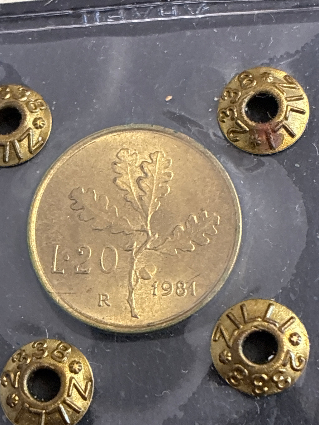 20 Lire 1981 "Ramo di Quercia" Errore Righe di Metallo in Rilievo in Perizia Q.FDC