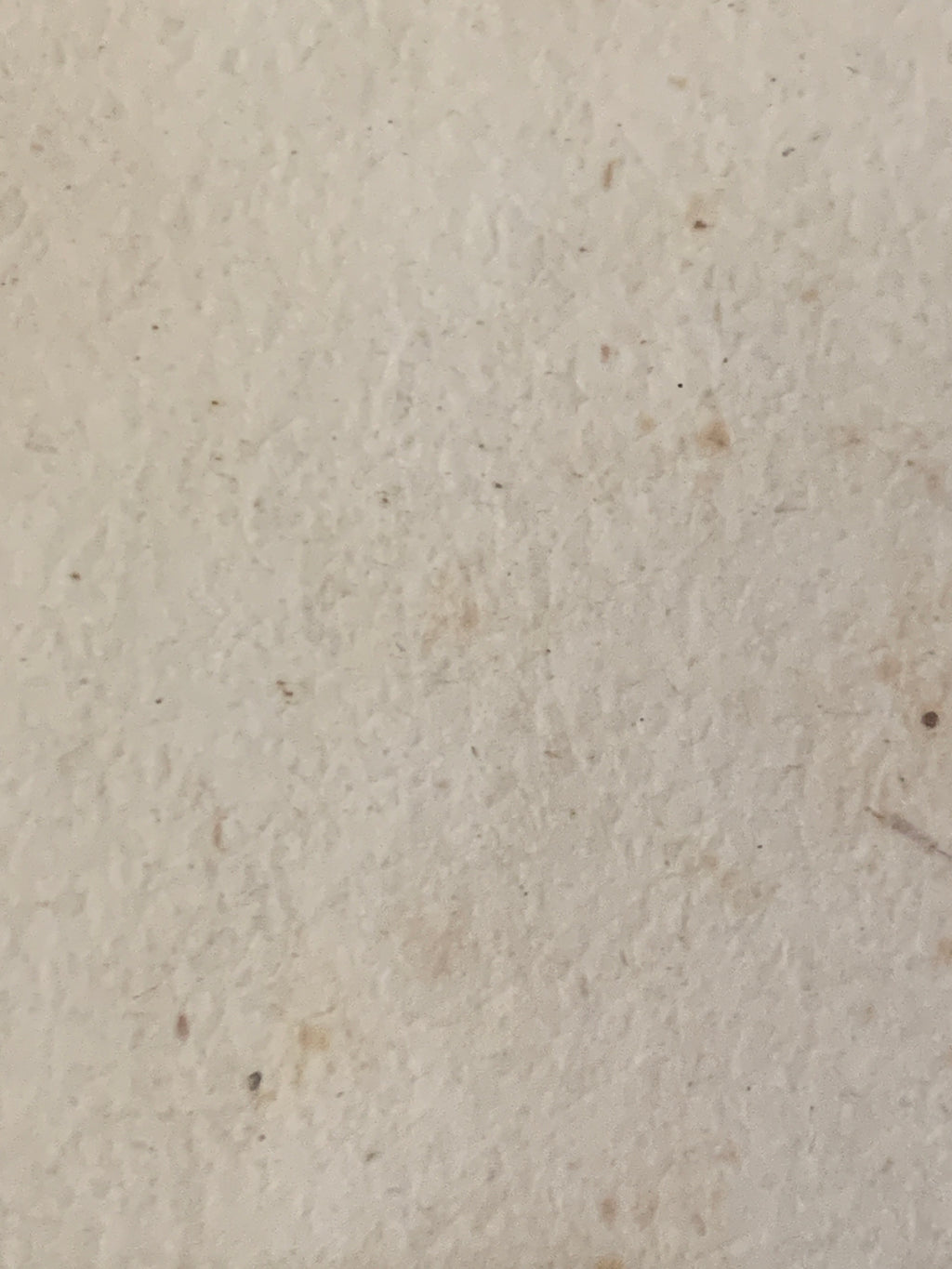 Incisione originale del Settecento di F. Polanzani con cornice antica F.lli Testori