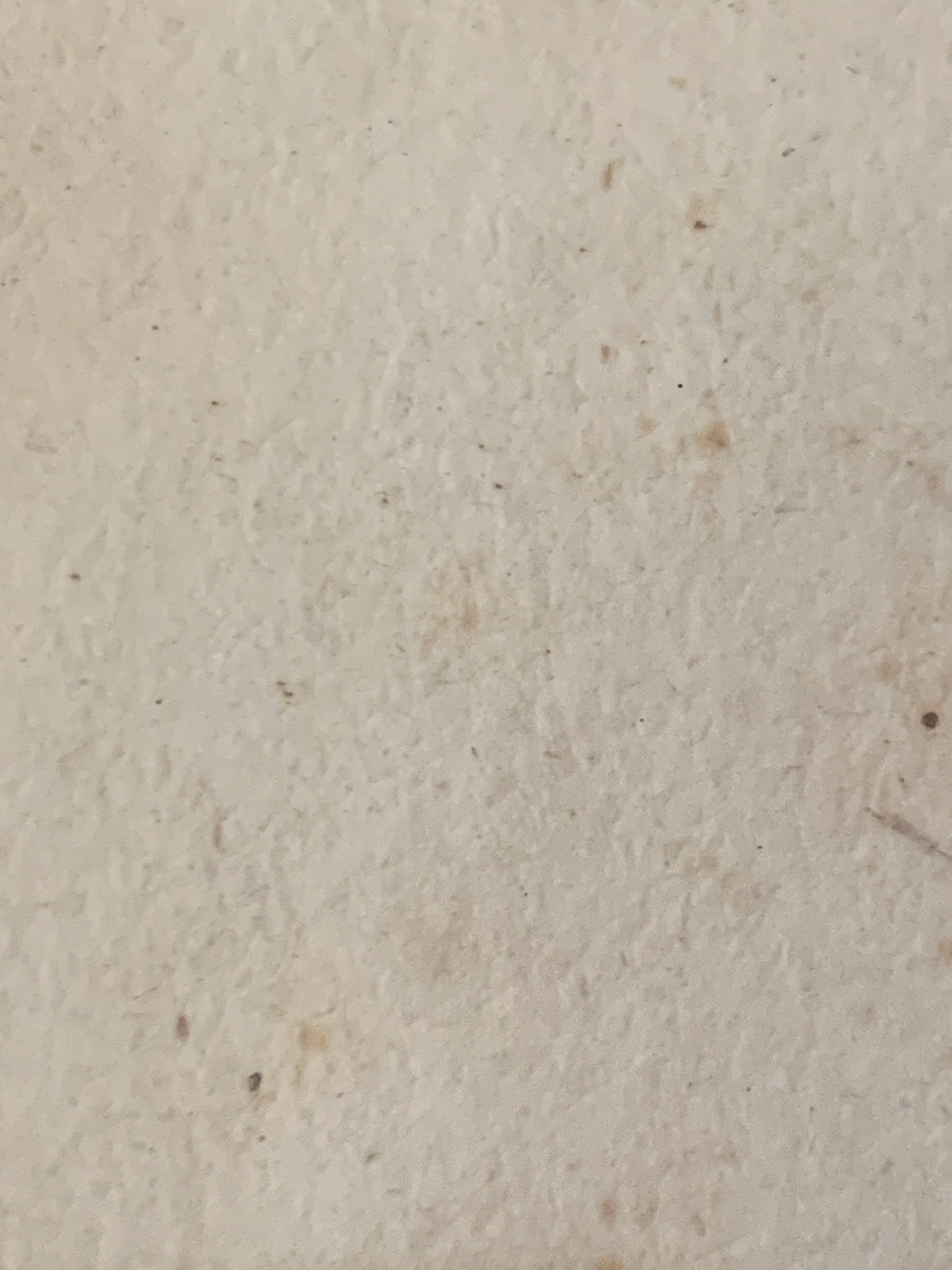 Incisione originale del Settecento di F. Polanzani con cornice antica F.lli Testori