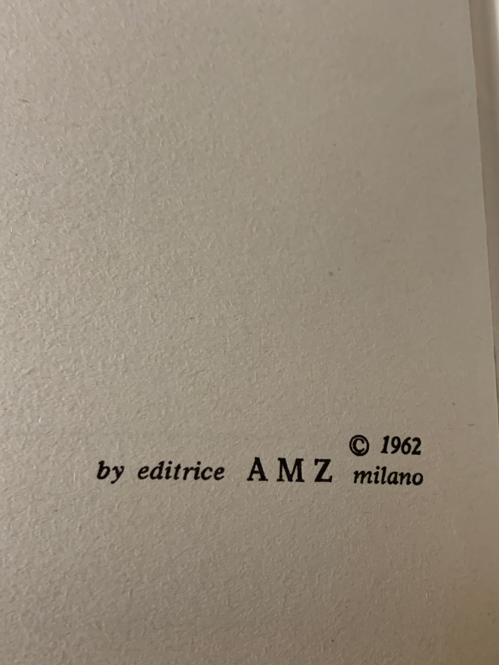 Libro Vintage "La piccola Dorrit" - C. Dickens - Editrice A.M.Z. (1962) - Collana I Birilli n. 15