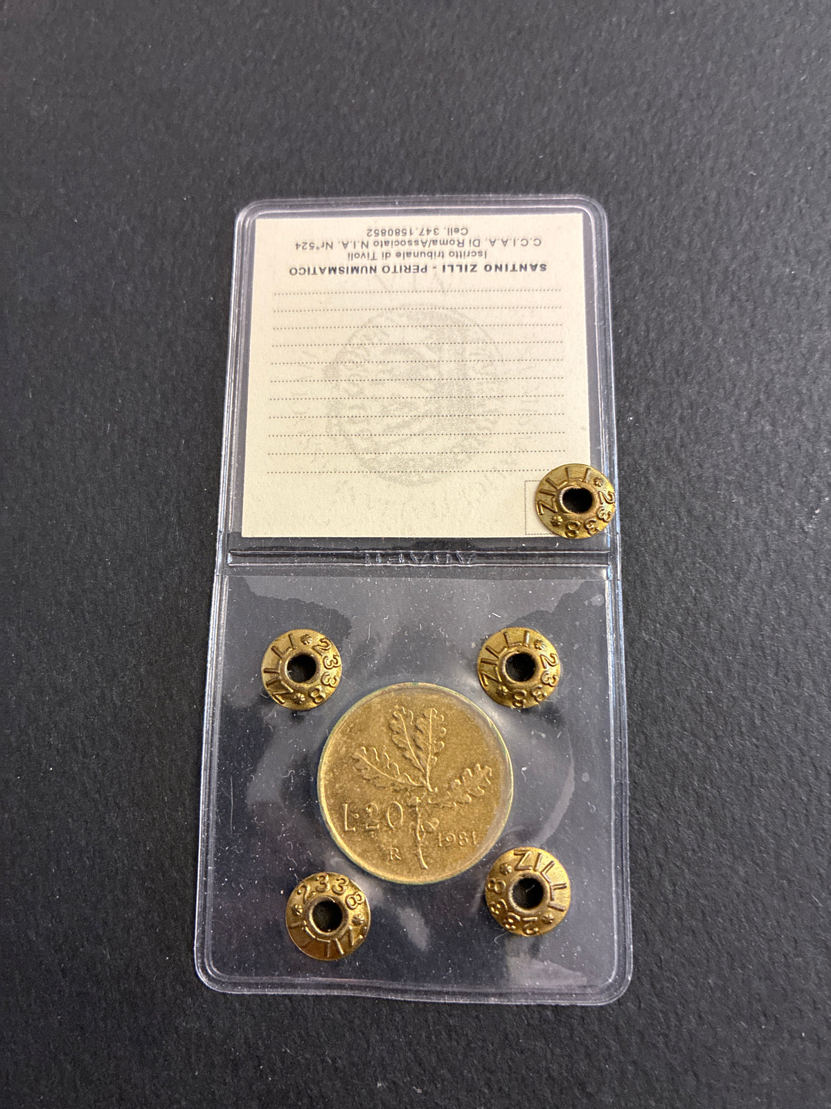 20 Lire 1981 "Ramo di Quercia" Errore Riga in Rilievo di Metallo sul Collo in Perizia BB