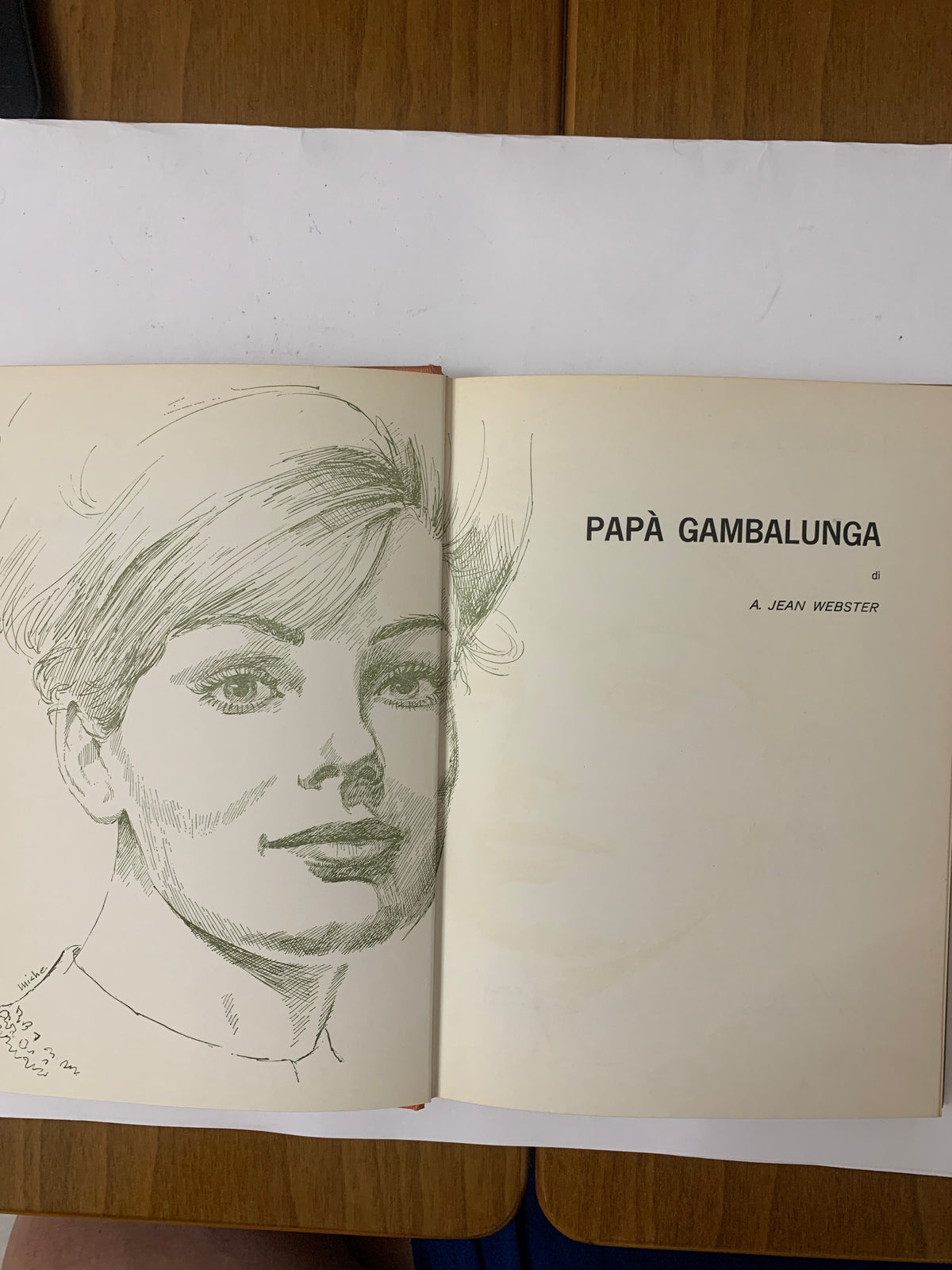 Libro Papà Gambalunga - Jean Webster - Editrice AMZ 1966 (Collana La Mongolfiera)