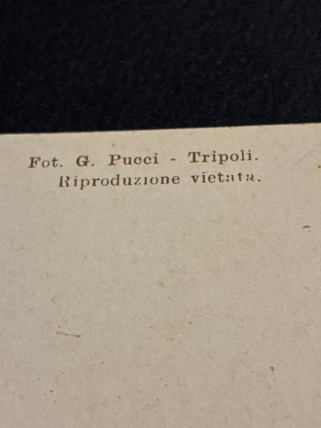 Cartolina Coloniale Libia Tripoli - Panorama dal Mare al Tramonto - Foto G. Pucci Ed. A. Traldi Milano Non Viaggiata