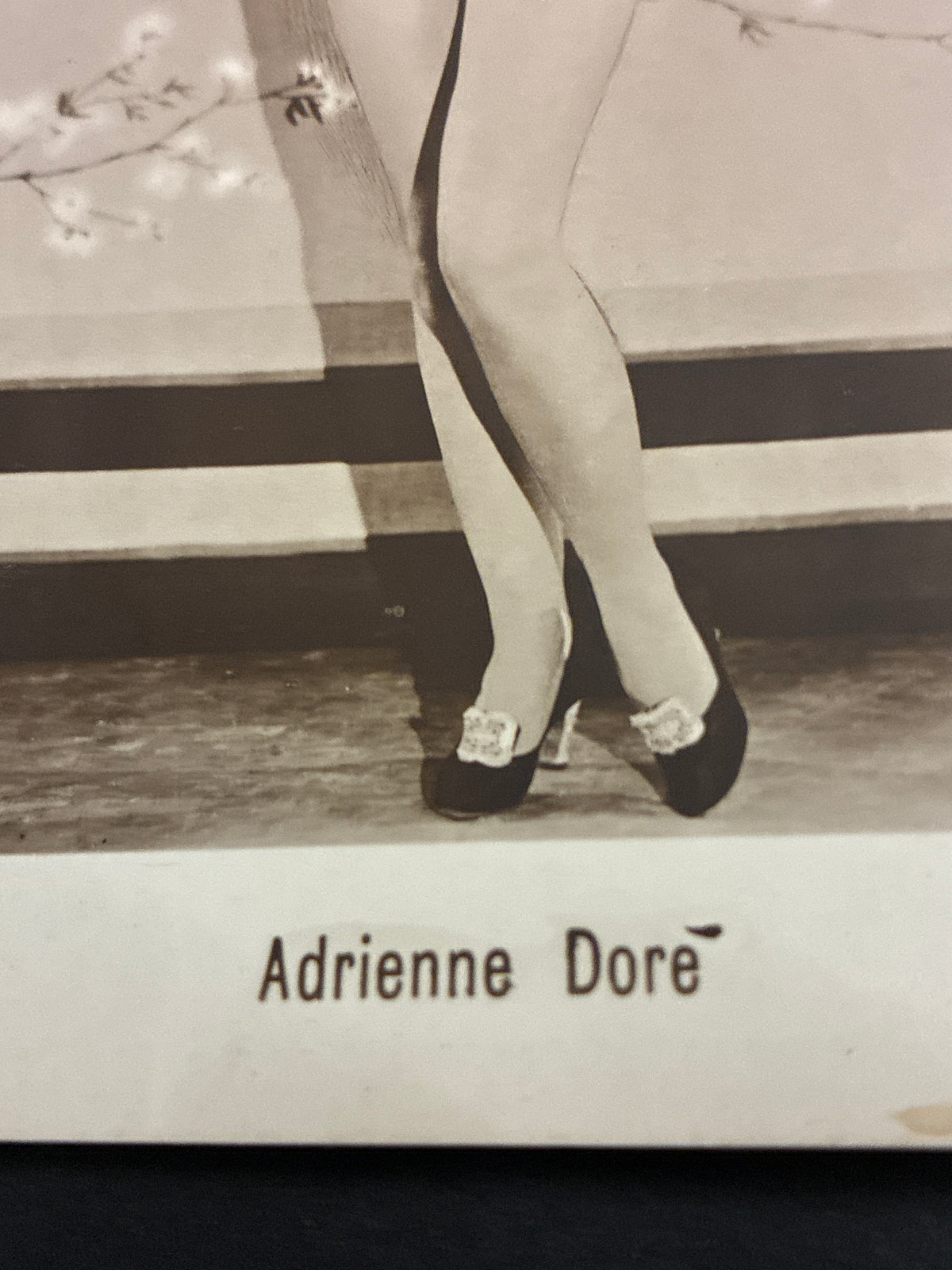 Cartolina Vintage Adrienne Dore - Cinema Muto Pre-Code - Edizioni G. B. Falci Milano (1929)