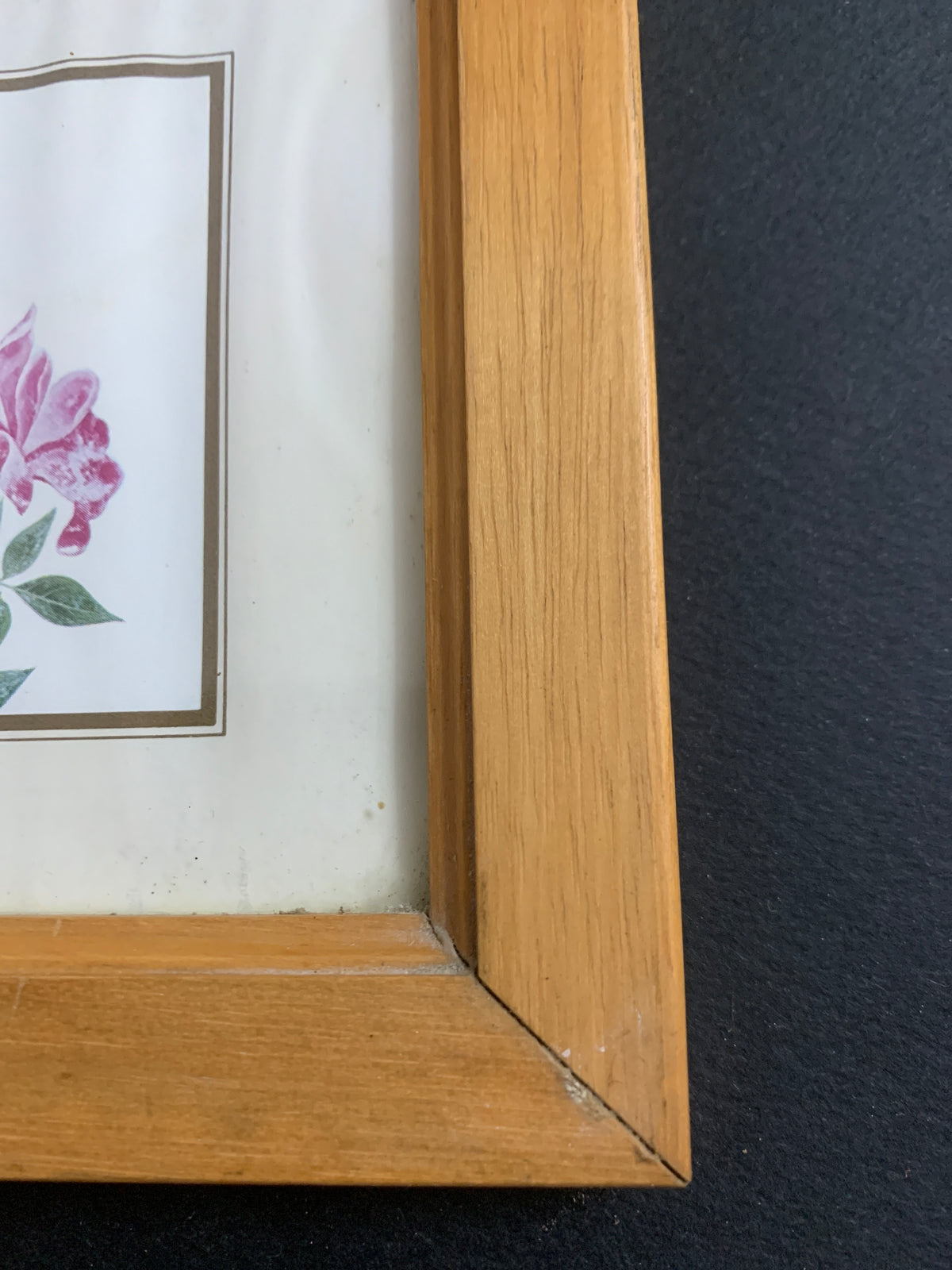 Quadretto Vintage Scandecor – Stampa Ornitologica Uccello e Fiore in Cornice di Legno