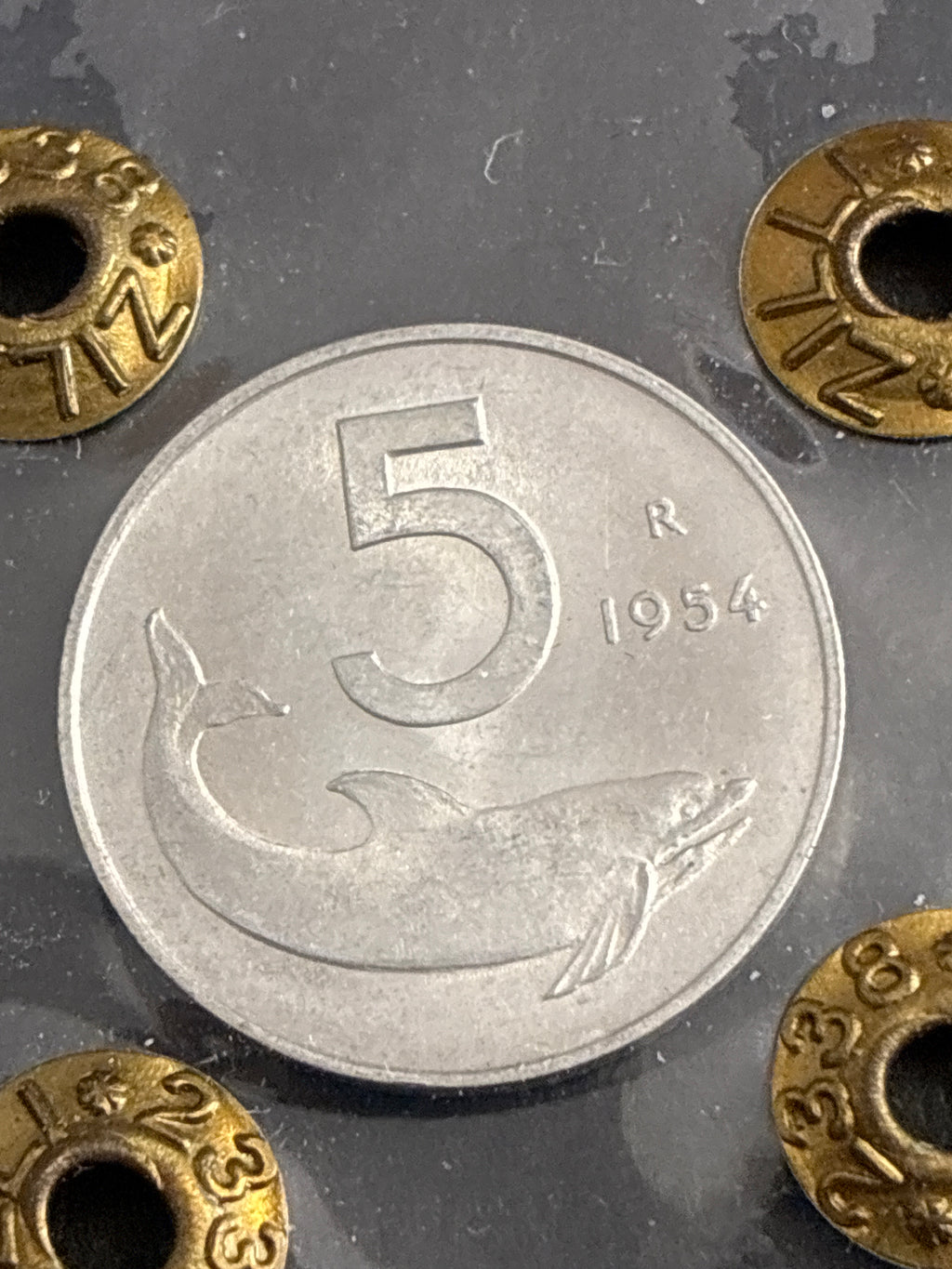 Moneta 5 Lire 1954 qFDC con errore di conio periziata Zilli