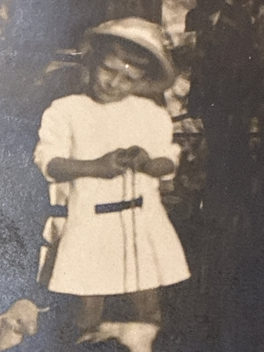 FOTO EPOCA PRIMI 900 CON CANI INFANZIA ARCHIVIO FAMIGLIA DABALÀ