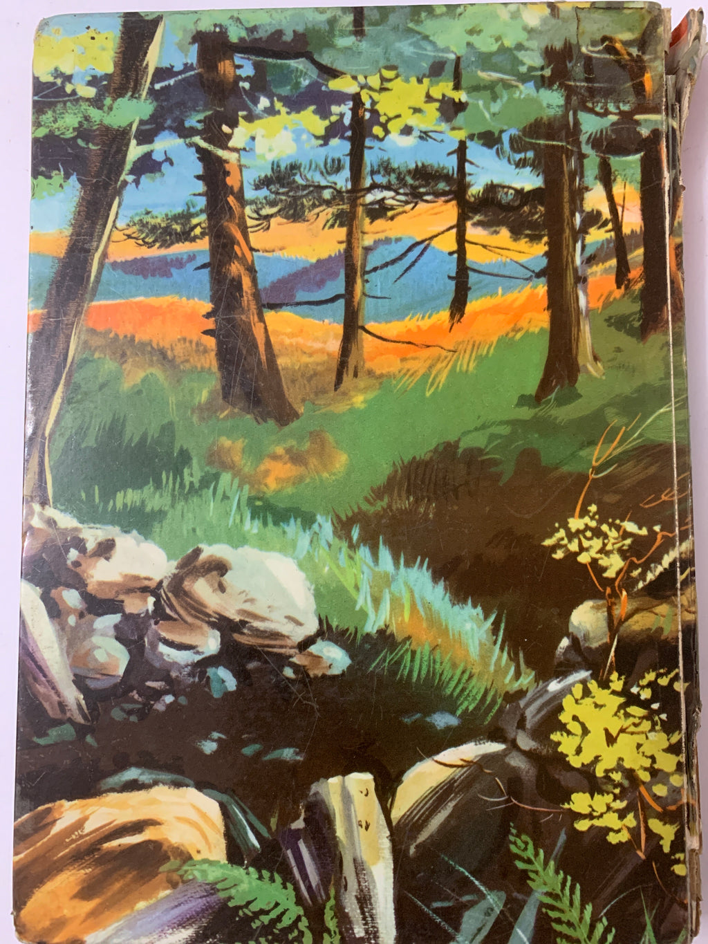 Libro "La pattuglia degli audaci" - M. Baker - Salani Editore (Ore d'Oro, 1961)