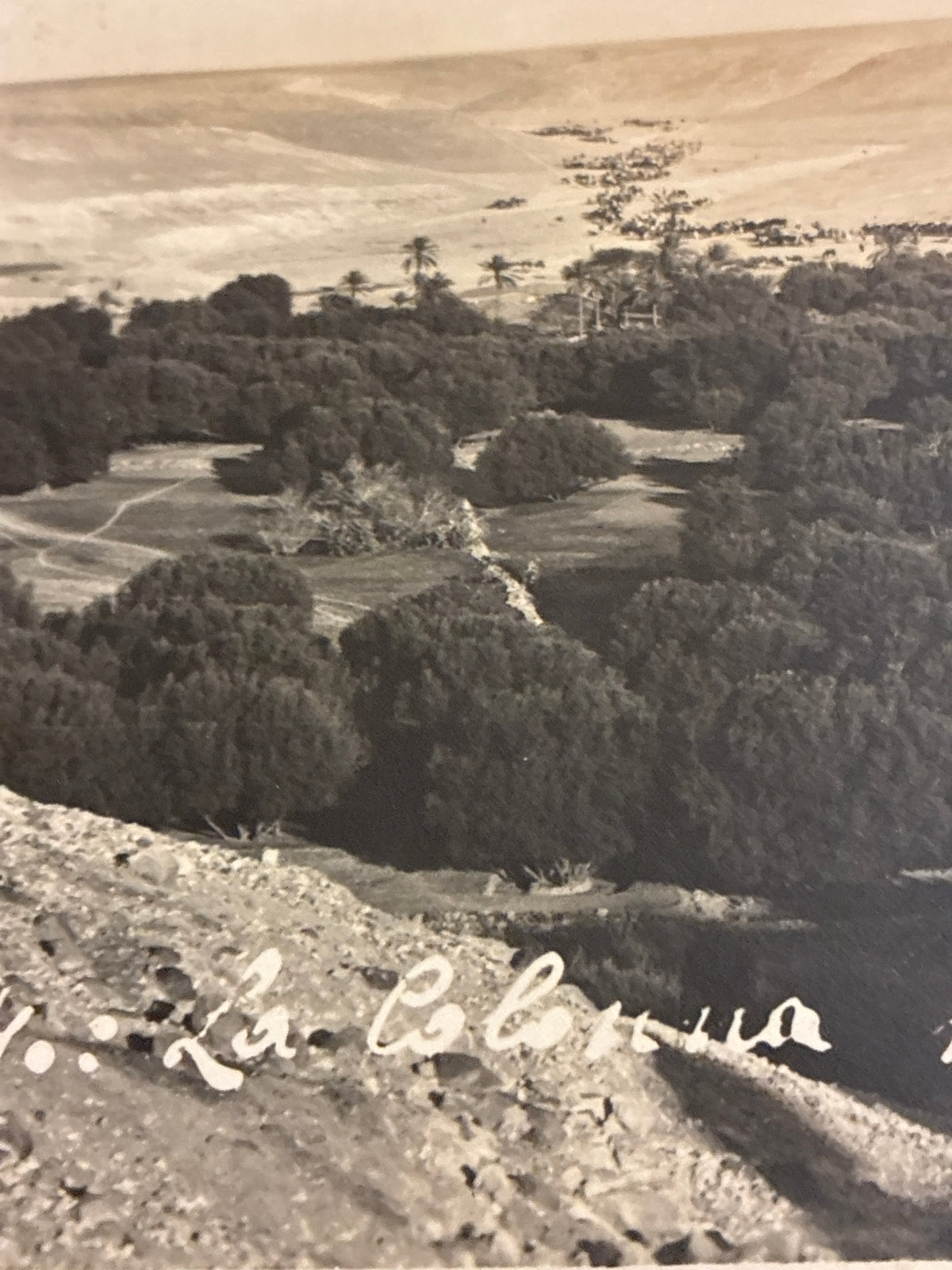 Cartolina Fotografica Libia Beni Ulid - N. 104 La Colonia nell'Wadi Beni Ulid - Rara Non Viaggiata