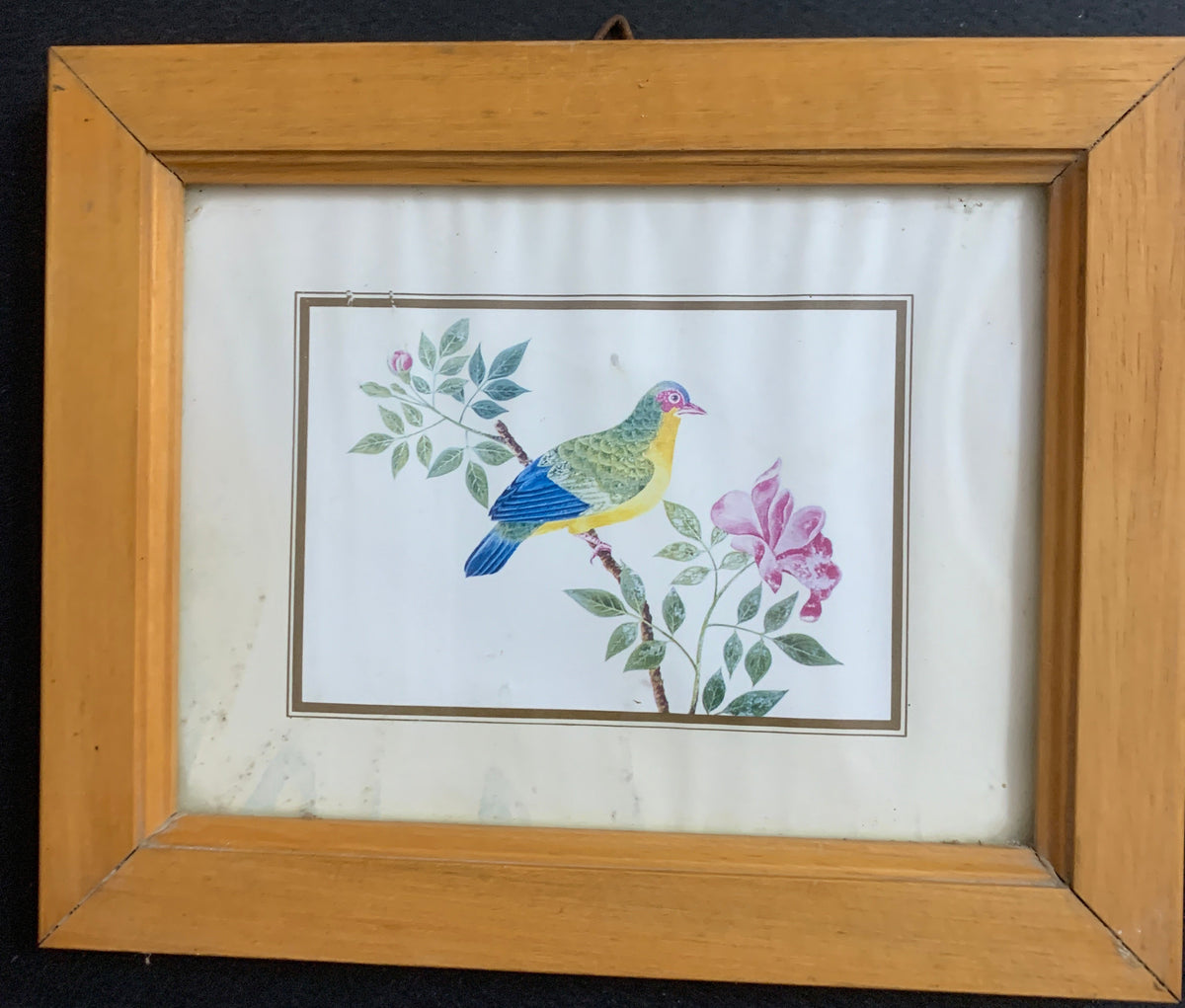 Quadretto Vintage Scandecor – Stampa Ornitologica Uccello e Fiore in Cornice di Legno