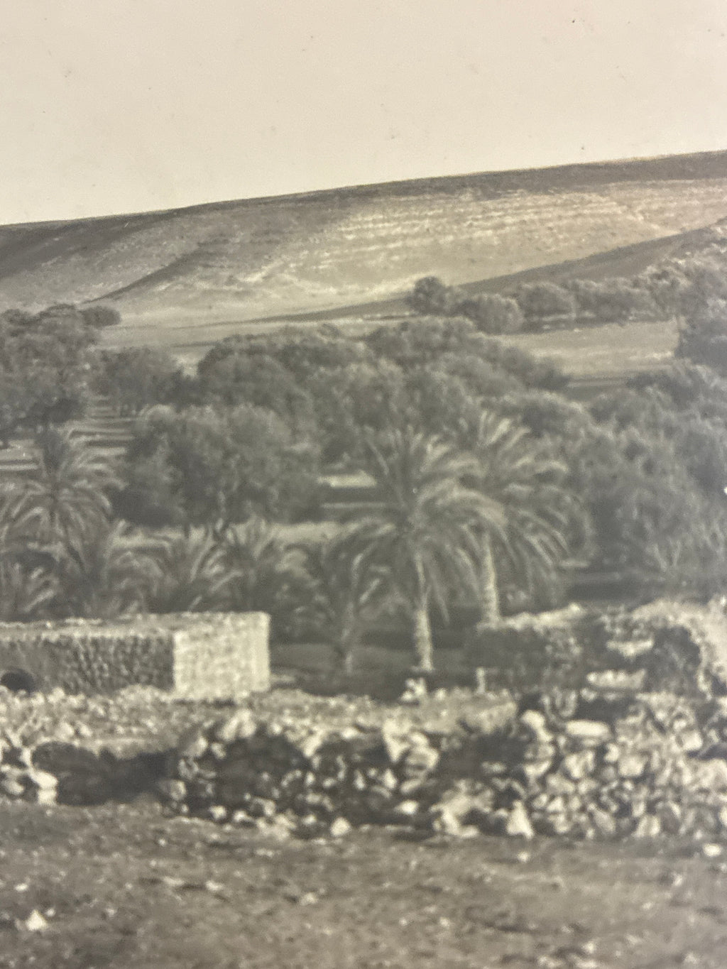 Cartolina postale italiana d'epoca coloniale con veduta panoramica del uadi e delle fortificazioni di Beni Ulid in Libia.