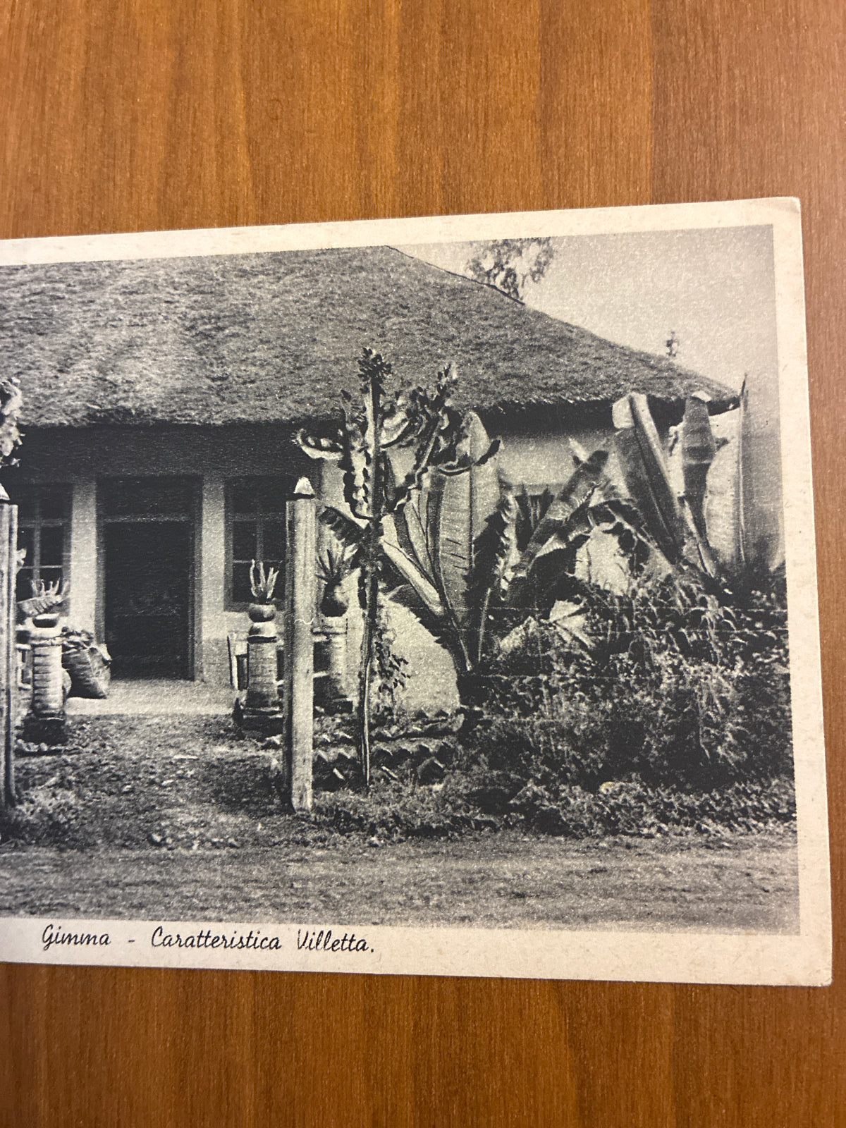 Cartolina AOI 1939 - Gimma Caratteristica Villetta - Francobollo 25c Isolato - Capello Ronzio