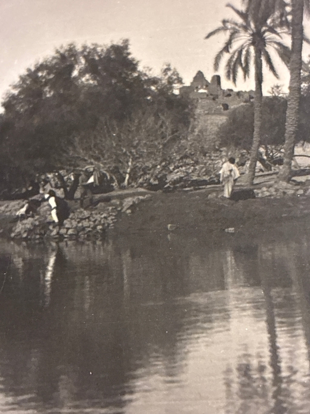 Cartolina Fotografica Libia Beni Ulid - N. 103 Nell'Wadi Beni Ulid Presso l'Oasi - Rara Non Viaggiata