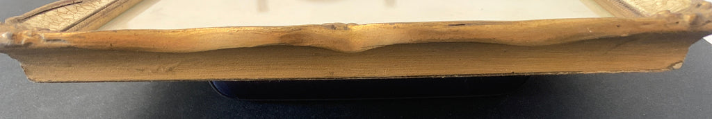Incisione originale del Settecento di F. Polanzani con cornice antica F.lli Testori