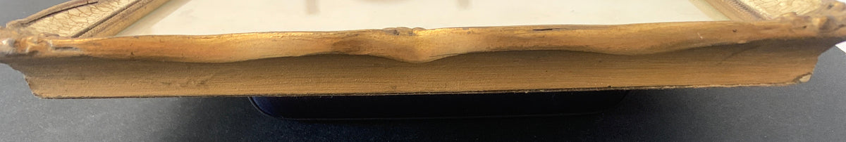Incisione originale del Settecento di F. Polanzani con cornice antica F.lli Testori