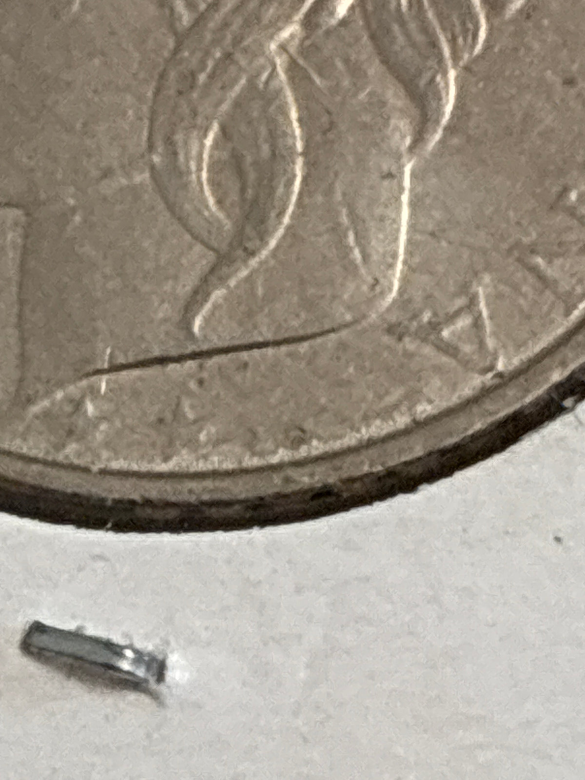 100 LIRE 1993 TURRITA - ERRORE DI CONIAZIONE: SENZA FIRMA INCISORE