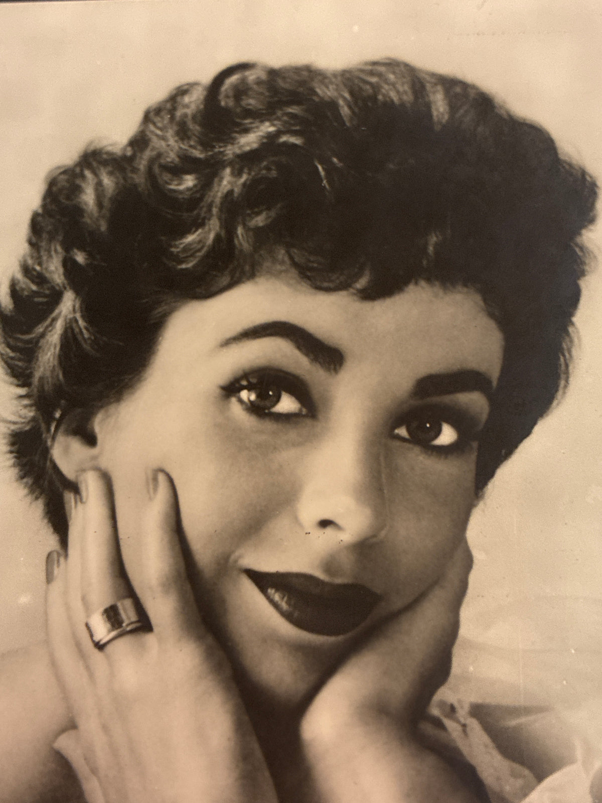 Rara Cartolina Vintage Elisabeth Taylor - Serie "Divi del Cinema" n. 19 - Edizioni Vetta Traldi Milano