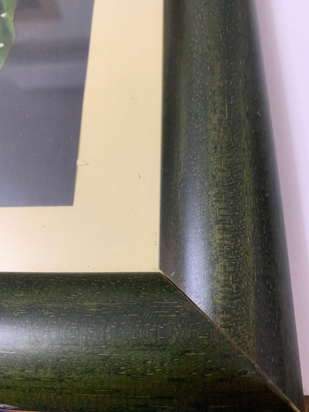 Dipinto su foglia di Peepal (Fico Sacro) - Arte Tradizionale Indiana con Cornice Verde