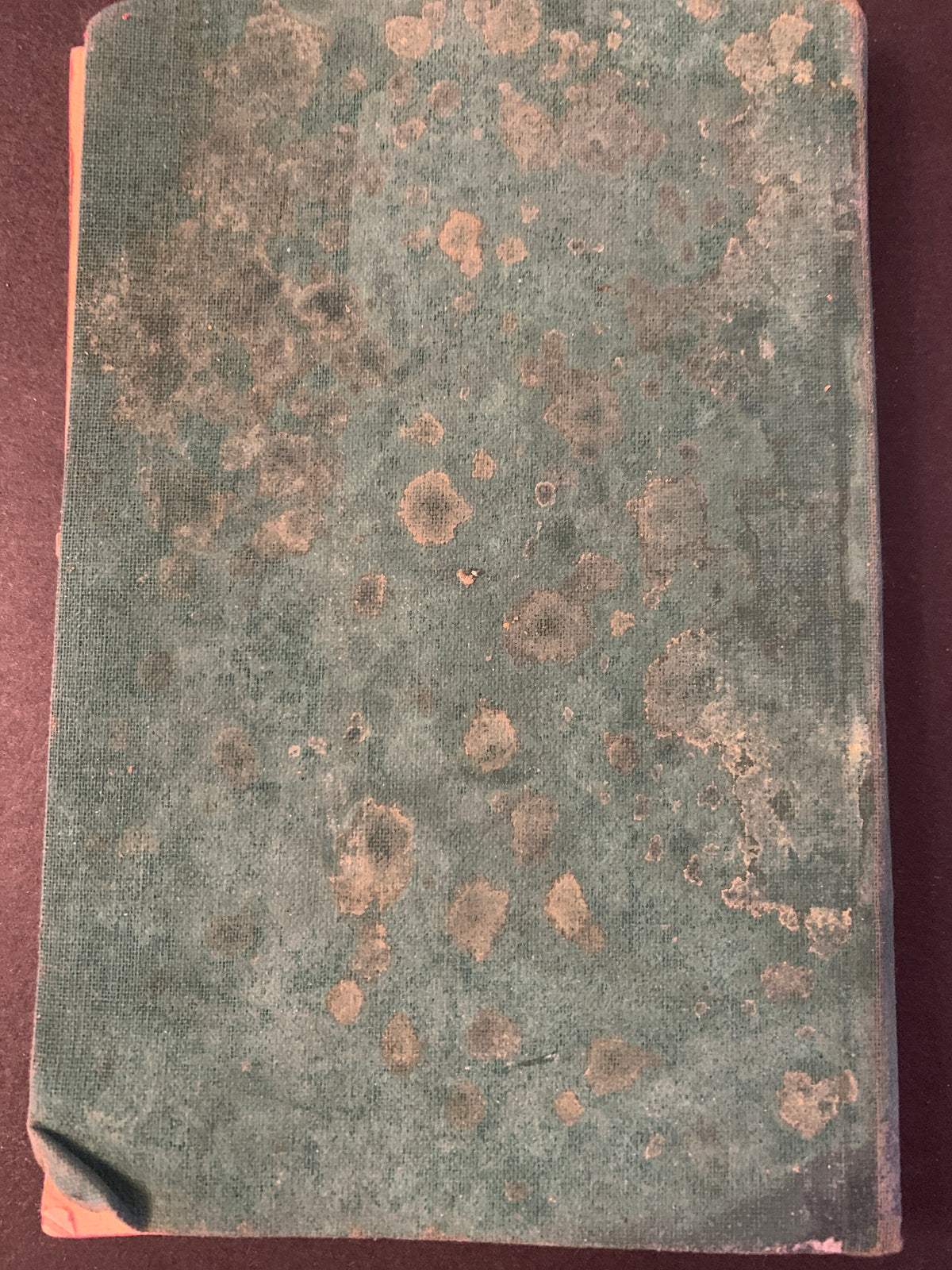 Manuale di pratica ostetrica ad uso delle levatrici (Supplemento al "Progresso Terapeutico")