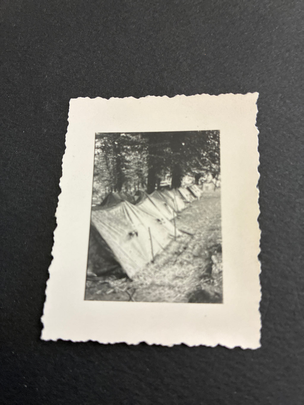 Accampamento di tende individuali del Regio Esercito durante le Grandi Manovre del 1937