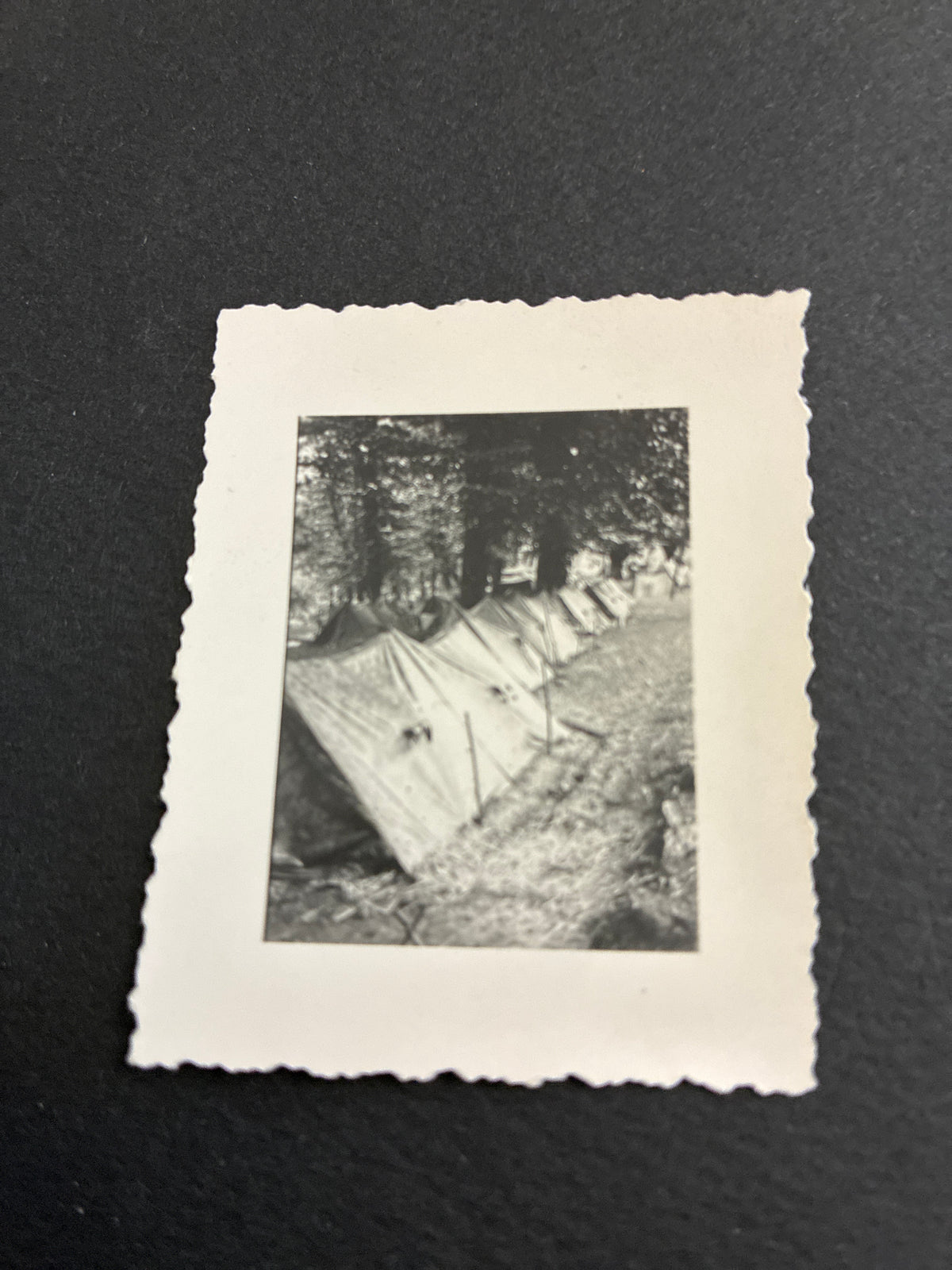 Accampamento di tende individuali del Regio Esercito durante le Grandi Manovre del 1937