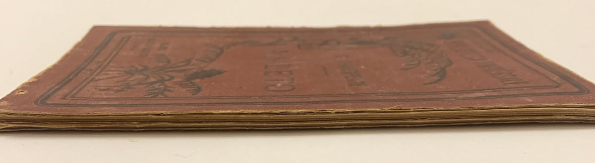 Libro Shakespeare Amleto Sonzogno 1882 Biblioteca Universale N. 5 Traduzione Rusconi