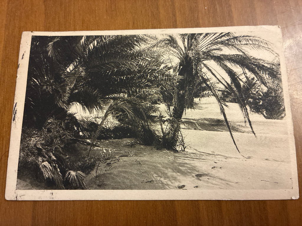 Somalia Italiana 1925 Cartolina Viaggiata da Mogadiscio a Ministero Interni Roma Affrancata 20 Centesimi Era Fascista Anno III