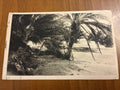 Somalia Italiana 1925 Cartolina Viaggiata da Mogadiscio a Ministero Interni Roma Affrancata 20 Centesimi Era Fascista Anno III