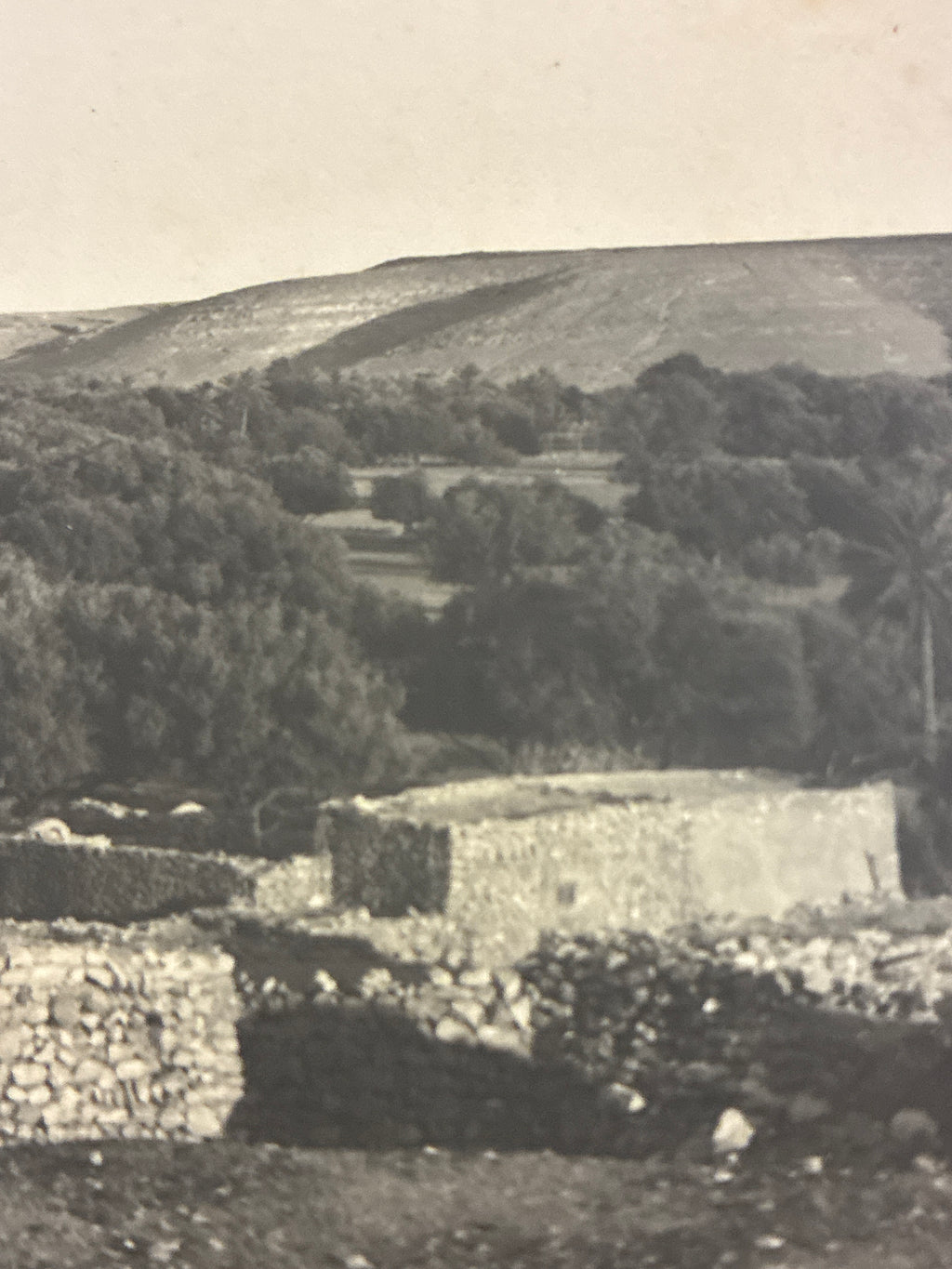 Cartolina postale italiana d'epoca coloniale del 1919 con veduta di Beni Ulid in Libia e indigeno locale in abiti tradizionali arabi.