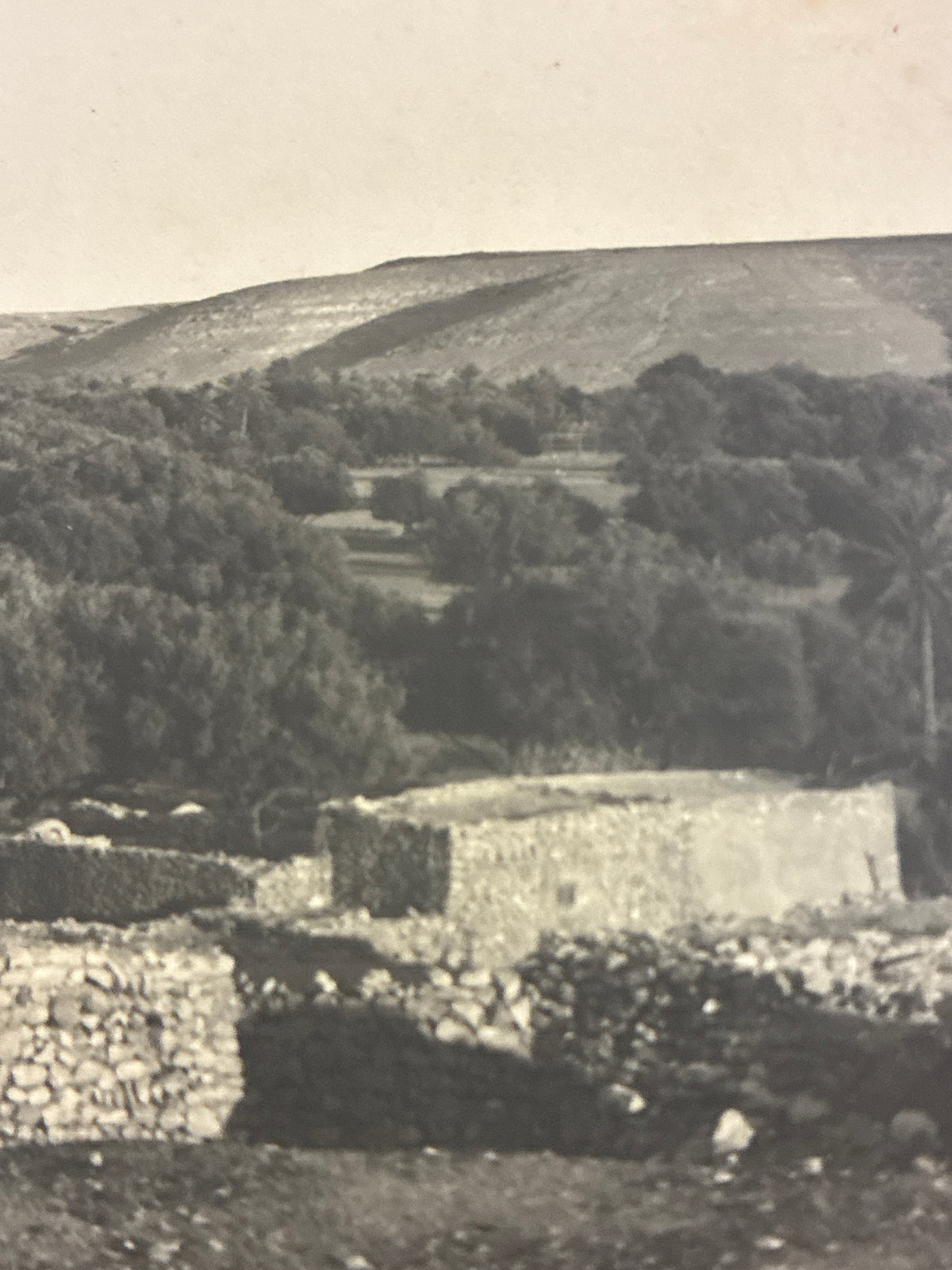Cartolina postale italiana d'epoca coloniale del 1919 con veduta di Beni Ulid in Libia e indigeno locale in abiti tradizionali arabi.