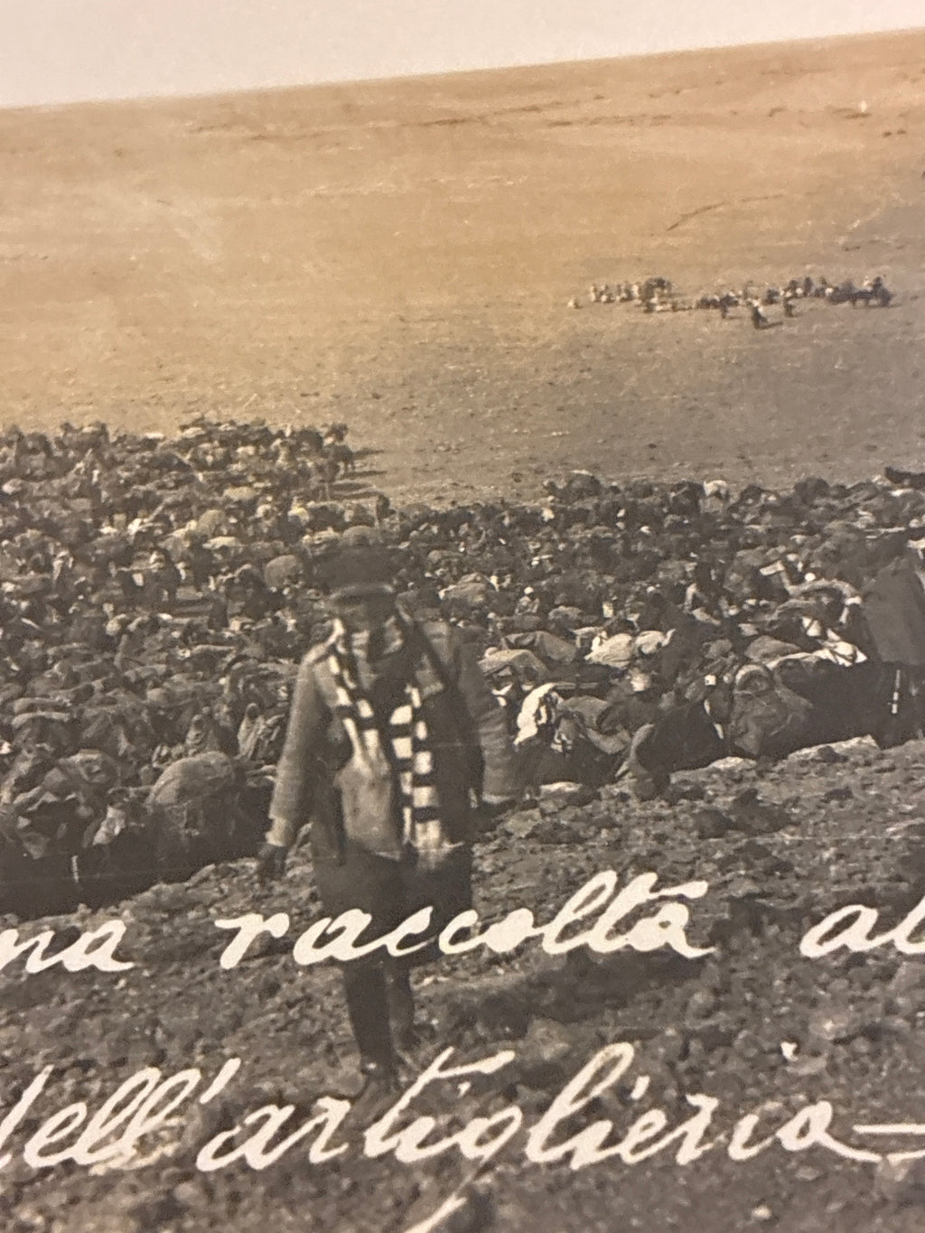 Cartolina Fotografica Militare Epoca Regio Esercito - N. 64 La Carovana Raccolta alle Spalle dell'Artiglieria - Rara Non Viaggiata