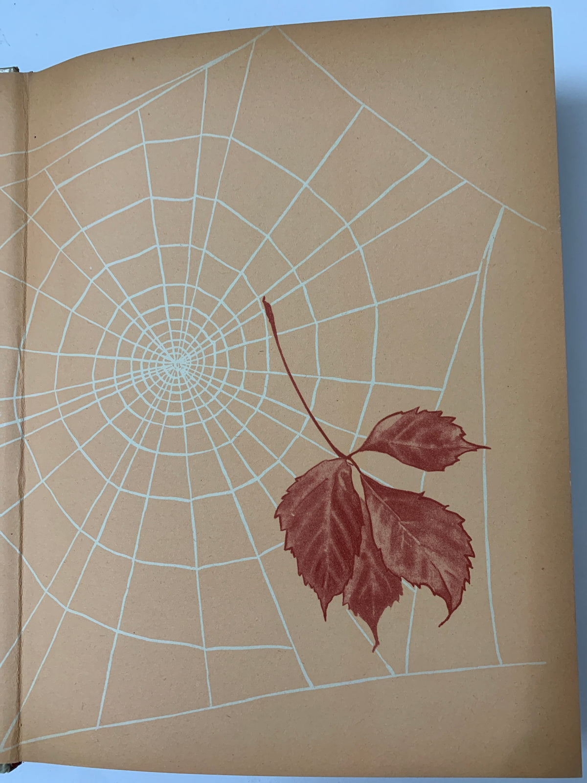 Libro Vintage "Rosa Campbell" - Louisa May Alcott - Edizioni La Sorgente (1953)