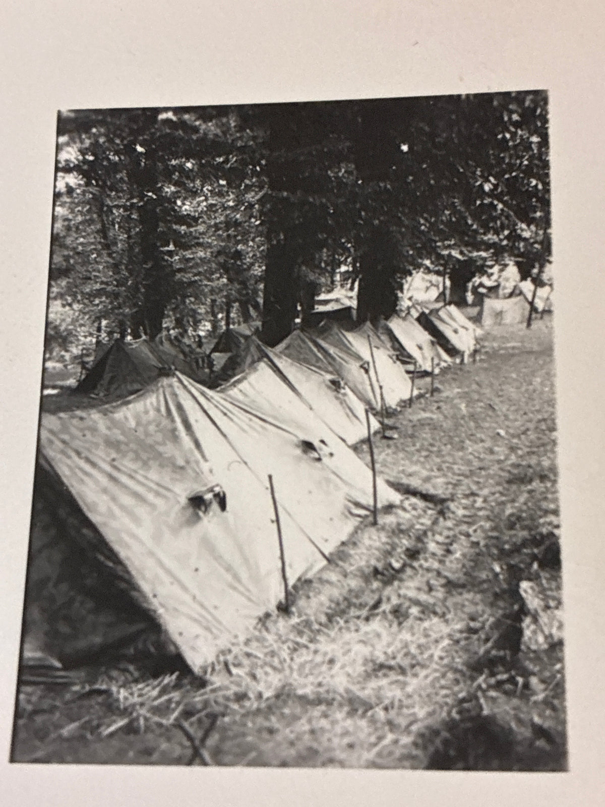 Accampamento di tende individuali del Regio Esercito durante le Grandi Manovre del 1937
