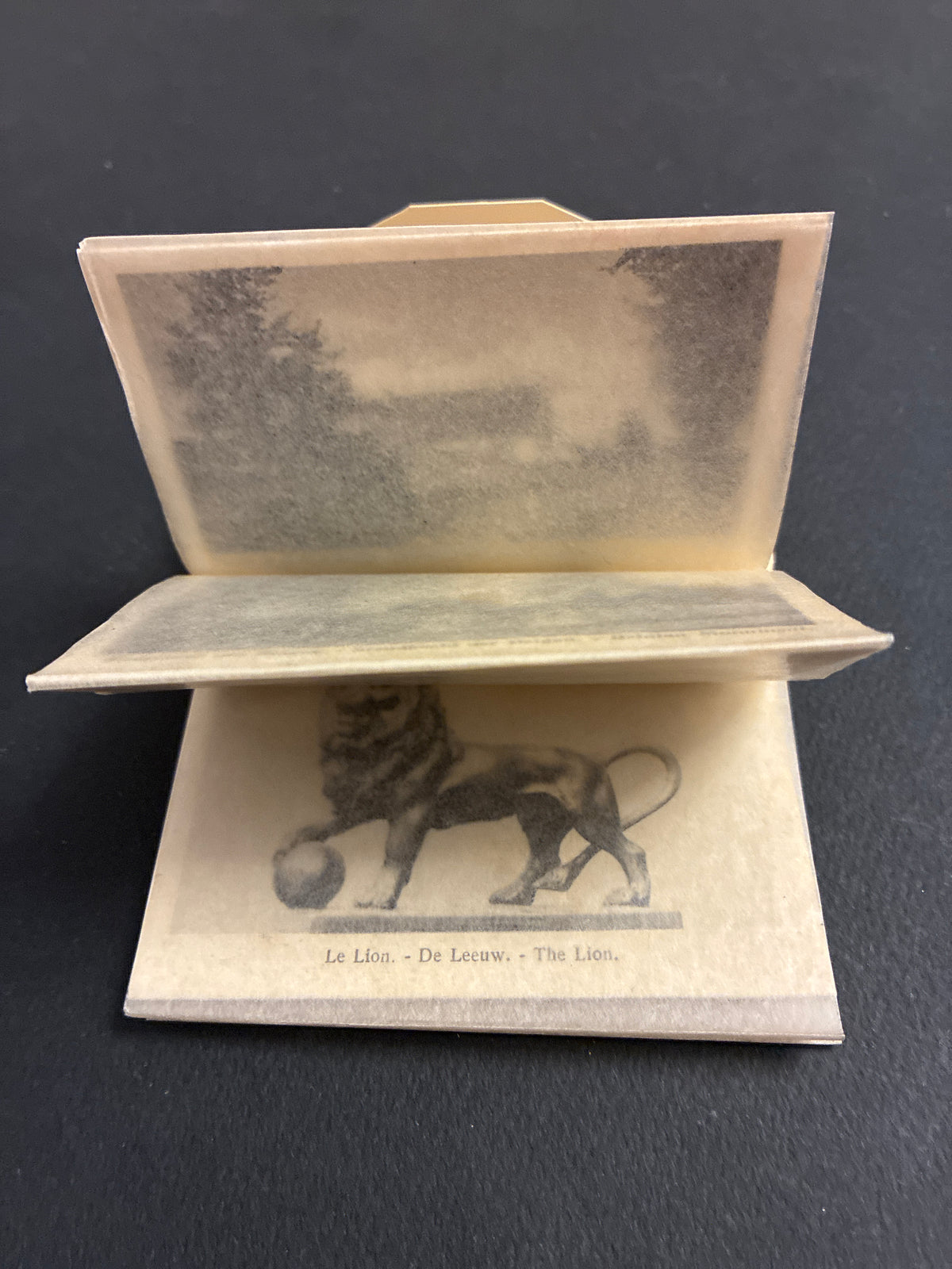 Libretto Cartoline Vintage "Souvenir de Waterloo" Grand Hotel du Lion Completo