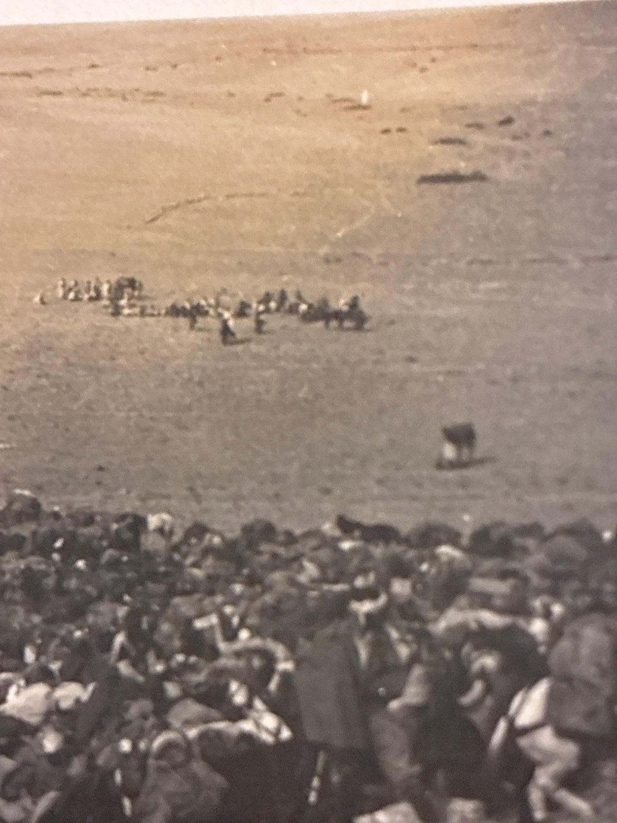 Cartolina Fotografica Militare Epoca Regio Esercito - N. 64 La Carovana Raccolta alle Spalle dell'Artiglieria - Rara Non Viaggiata