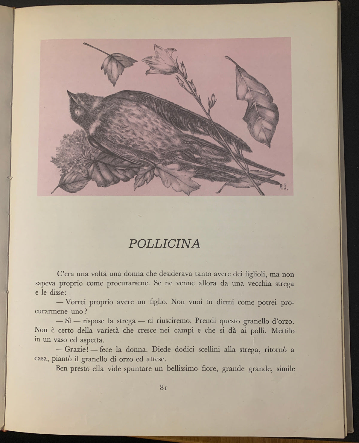 Il Libro Delle Bestie Stregate - Edizioni Principato (1956)