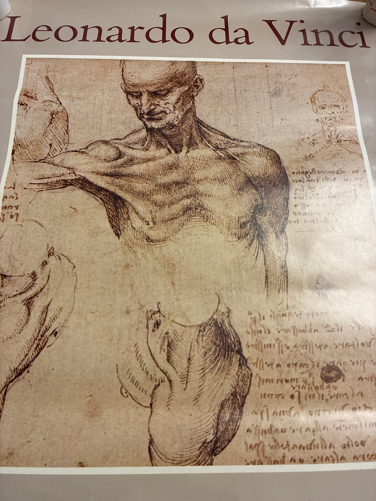 Raro Manifesto Originale 1979 Leonardo Da Vinci Mostra Firenze Palazzo Vecchio