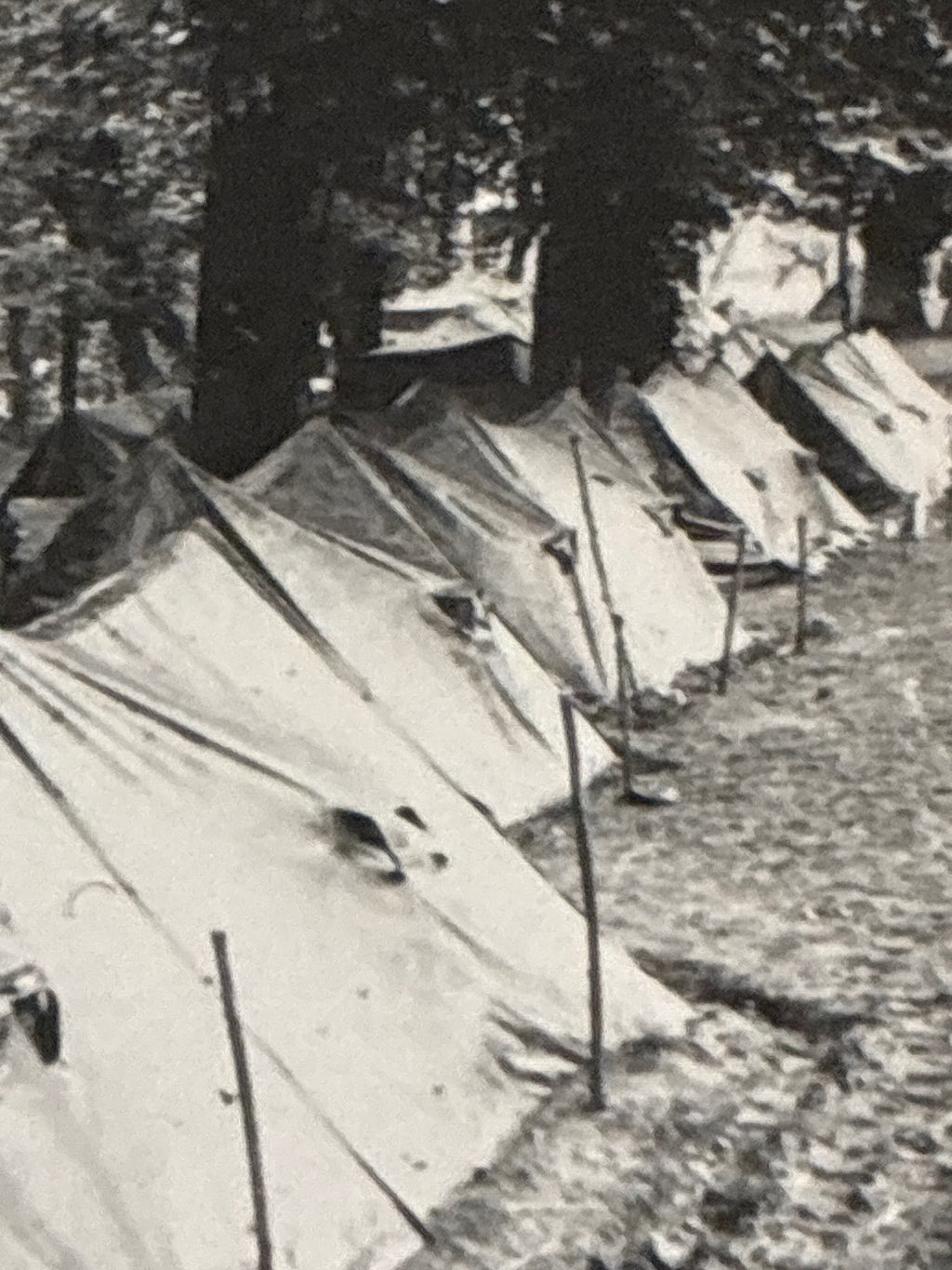 Accampamento di tende individuali del Regio Esercito durante le Grandi Manovre del 1937