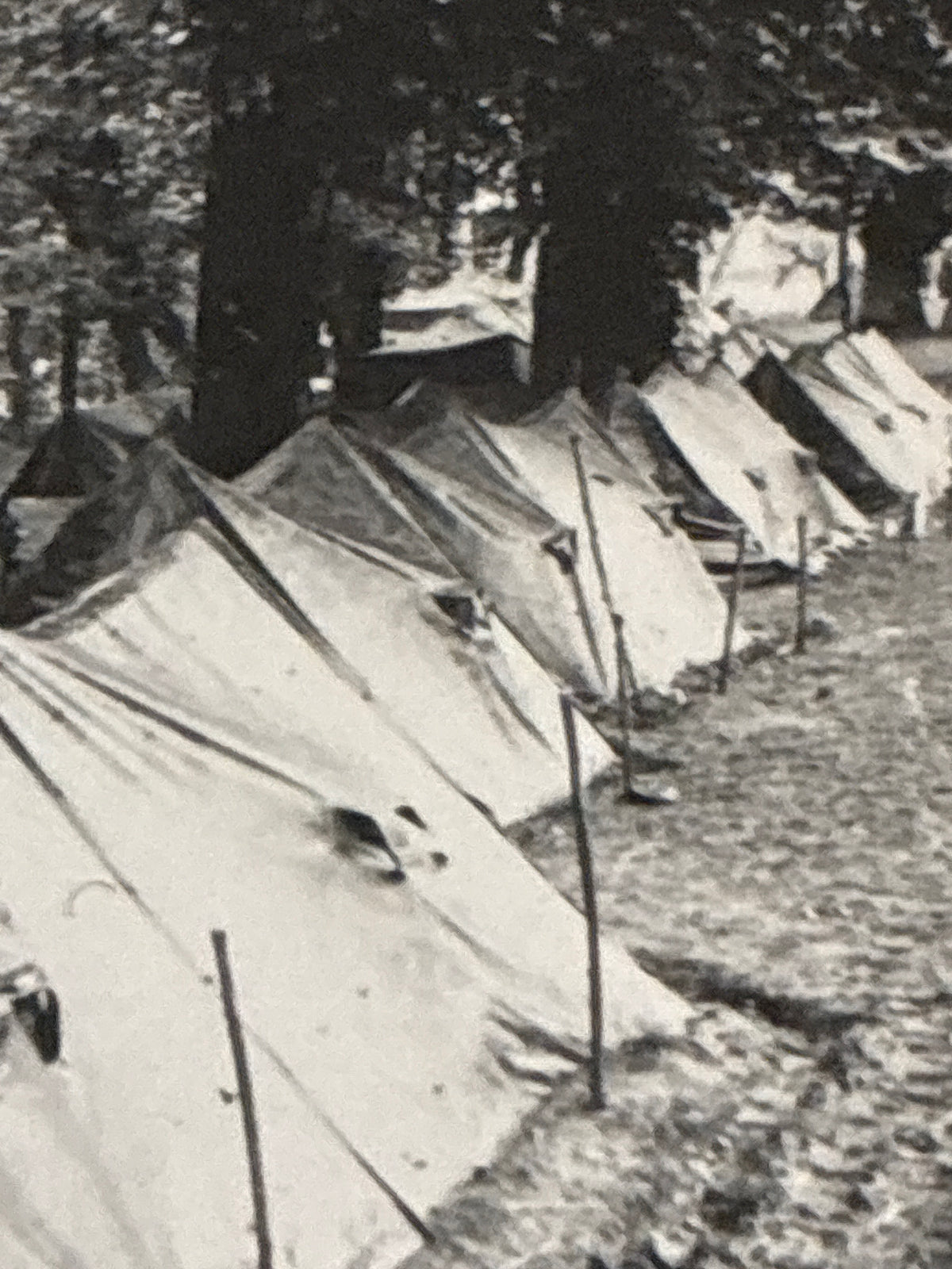 Accampamento di tende individuali del Regio Esercito durante le Grandi Manovre del 1937