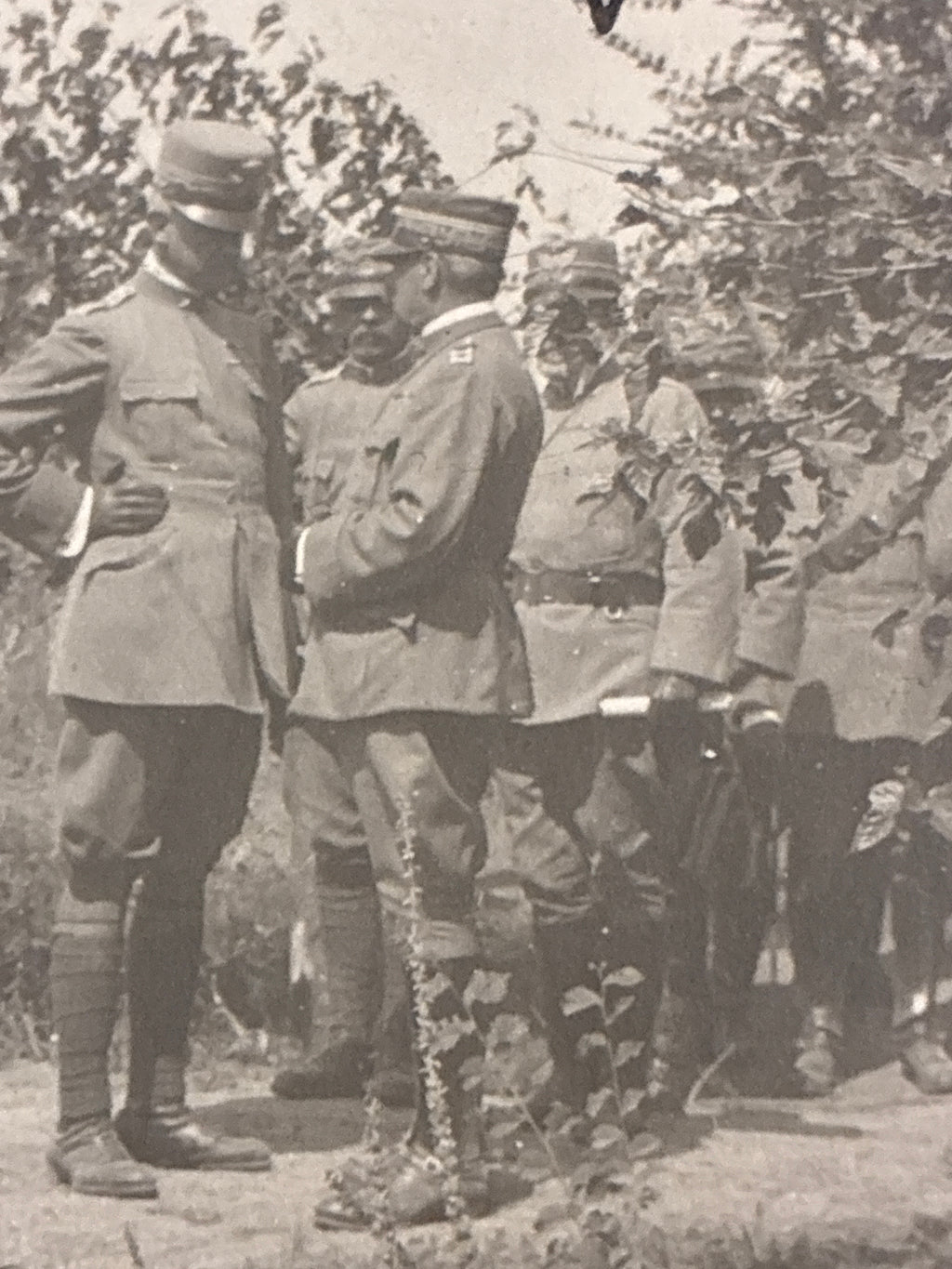 S.A.R. il Duca d'Aosta a colloquio con gli Ufficiali della 3ª Armata – Rara fotografia d'archivio originale "Marca Trifoglio" con nota biografica manoscritta