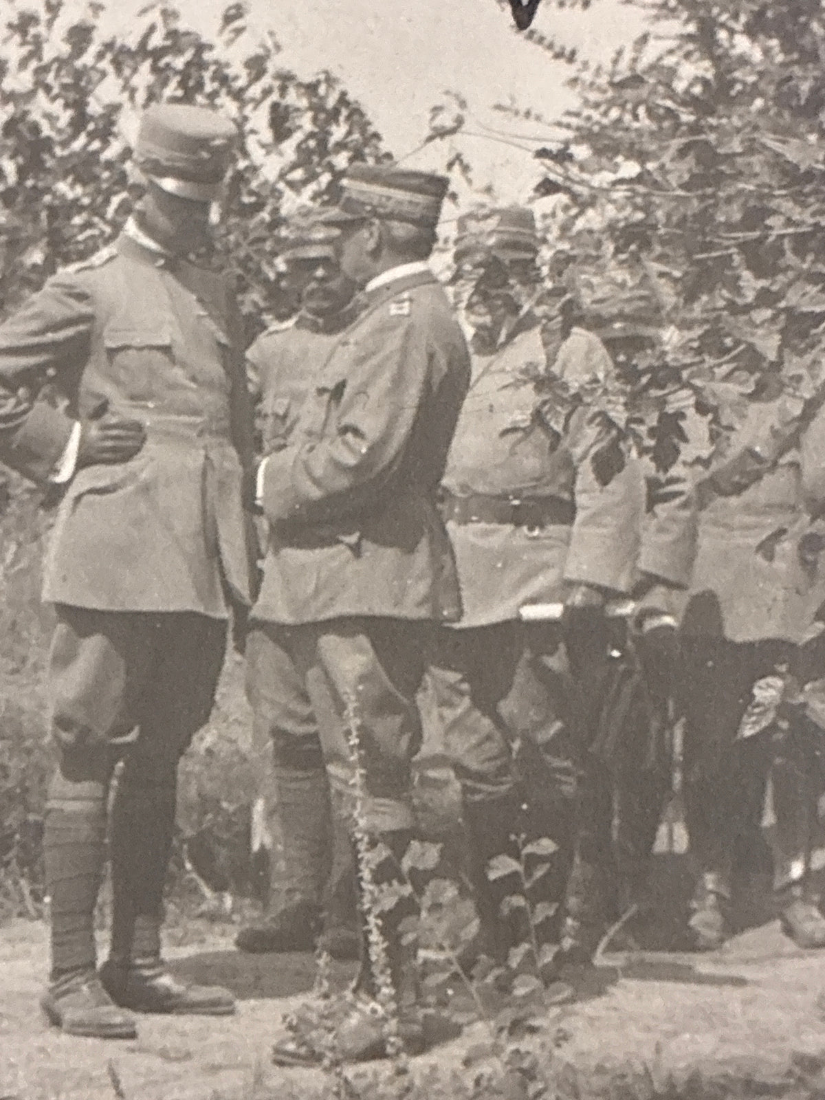 S.A.R. il Duca d'Aosta a colloquio con gli Ufficiali della 3ª Armata – Rara fotografia d'archivio originale "Marca Trifoglio" con nota biografica manoscritta