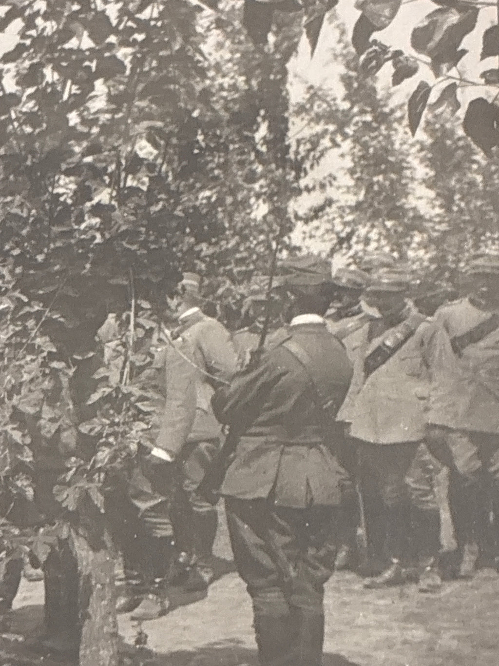 S.A.R. il Duca d'Aosta a colloquio con gli Ufficiali della 3ª Armata – Rara fotografia d'archivio originale "Marca Trifoglio" con nota biografica manoscritta
