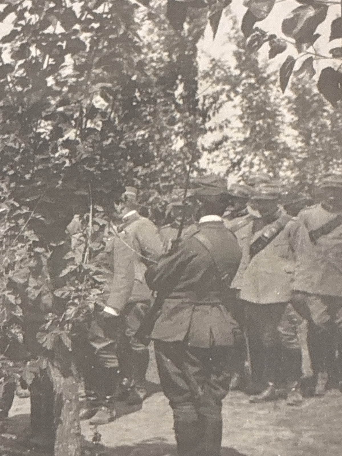 S.A.R. il Duca d'Aosta a colloquio con gli Ufficiali della 3ª Armata – Rara fotografia d'archivio originale "Marca Trifoglio" con nota biografica manoscritta