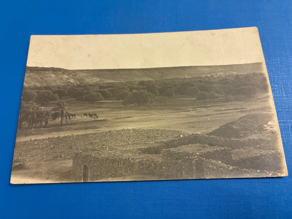 Cartolina postale italiana d'epoca coloniale del 1919 con veduta panoramica di Beni Ulid in Libia e carovana di dromedari che attraversa il uadi.