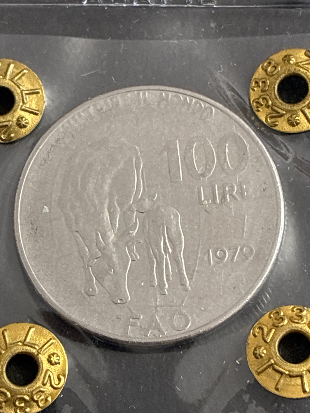 100 Lire 1979 FAO - Variante con errori di conio "Incisore e segno di zecca evanescenti" e "Riga di metallo in rilievo" - Grado SPL / NC
