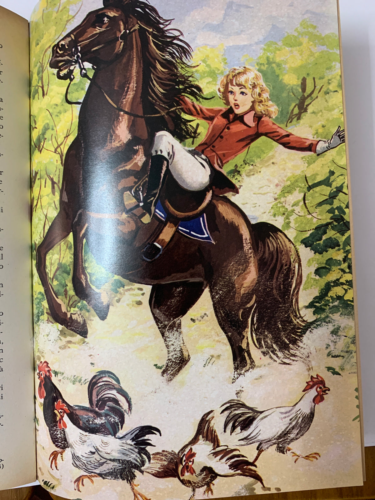 Libro "Rosa e gli otto cugini" - L.M. Alcott - Edizioni Malipiero 1973 - Illustrato